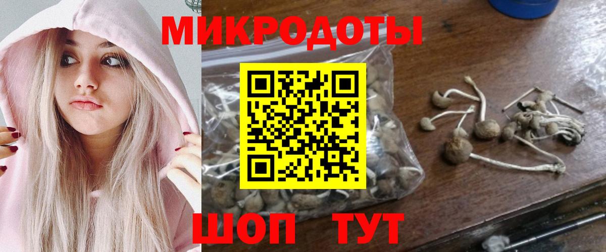 Кингисепп  Галлюциногенные грибы Cubensis  хочу   Галлюциногенные грибы Psilocybine cubensis  Вход с VPN 
