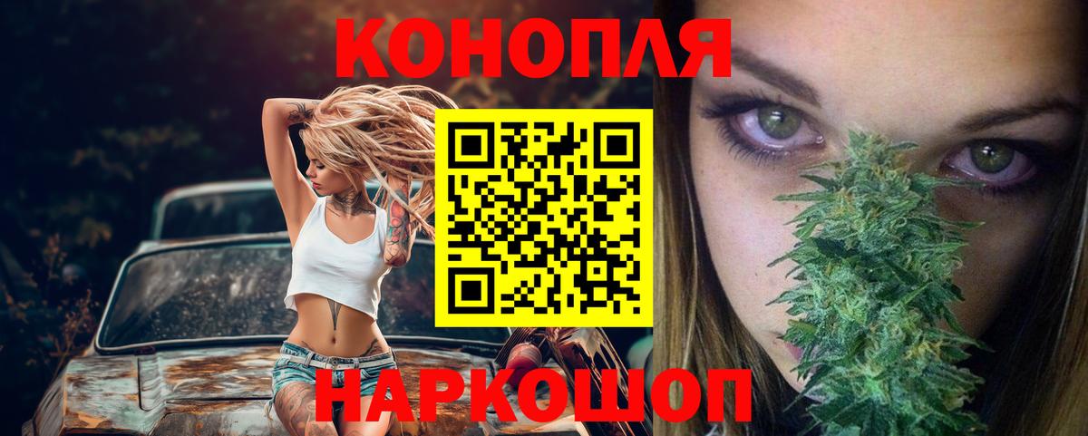 Шишки марихуана план Кингисепп
